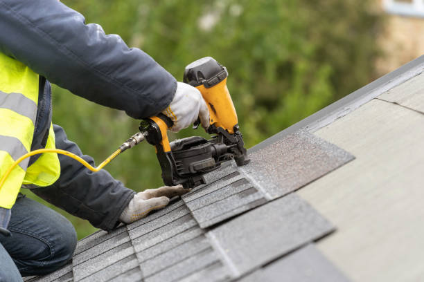 Best Solar Panel Roofing Installation  in Mesquite, NV