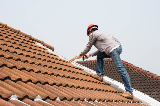 Best Asphalt Shingle Roofing  in Mesquite, NV