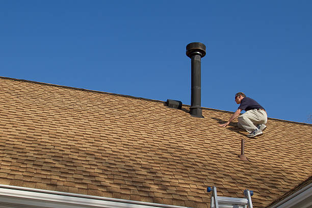 Best Roof Moss and Algae Removal  in Mesquite, NV